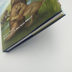 Princeton Field Guide to Prehistoric Mammals Prothero 2017 1st Ed Hardcover