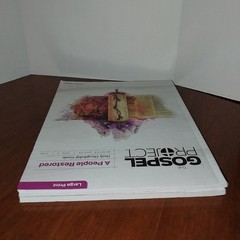 Lifeway Gospel Project Daily Discipline Guide Bible Study Large Print Vol 6 & 7