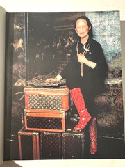 DIANA VREELND by Eleanor Dwight HC 2002 1st Edition William Morrow