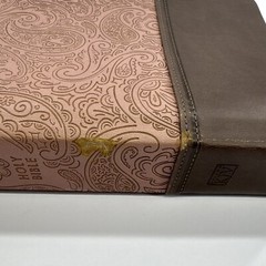 Thomas Nelson Bible KJV GP Reference 0543A Red Letter Self Pronouncing 2 Tone