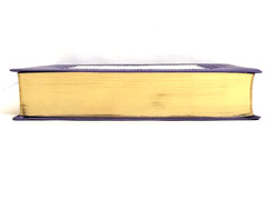 KJV Holy Bible Wide-Margin Personal Notes Edition King James Version Purple