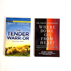 Courage And Conquer Mix Lot of 16 Books Softcover by Dr. David Jeremiah