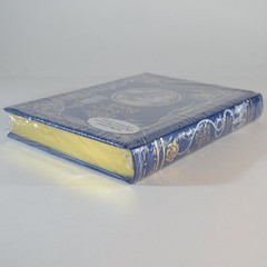 THE BLUE FAIRY BOOK Andrew Lang Illustrated Bonded Leather Gilt Page Edges – NEW