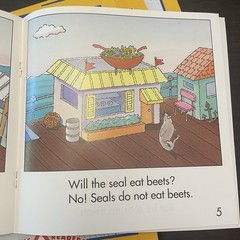 Phonics Readers Long Vowels SET OF TEN different decodeable books