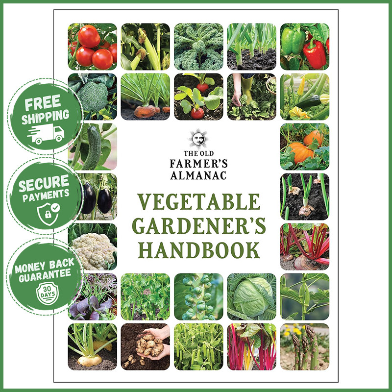 PLANTING VEGETABLE GARDENERS HANDBOOK Practical Gardening Tips Harvesting Guide