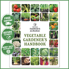PLANTING VEGETABLE GARDENERS HANDBOOK Practical Gardening Tips Harvesting Guide