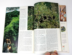National Geographic August 1963 First Jane Goodall Issue Magic Walt Disney & Map