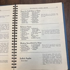 Cookbook 1938 J.R. Watkins Blue Wire Bound Interesting Recipes Vtg 288 Pages