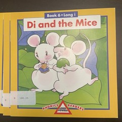 Phonics Readers Long Vowels SET OF TEN different decodeable books