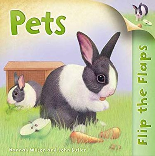 Flip the Flaps: Pets Picture Book Hannah Wilson