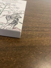 Magic An Occult Primer 50 Year Anniversary Edition 29A