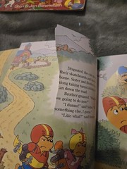 The Berenstain Bears 17 Book Lot Total Huge Lot Bundle