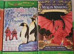 14 MAGIC TREE HOUSE chapter Books Dragon Ghosts Magicians Osborne HARDCOVERS C8