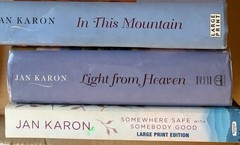 Large Print Ex-Library Books Choose Your Book Paperback Hardcover Easy Reading