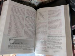 NLT BIBLE LOVER LOT J4: Includes several 1996c. Life Application Study, Journal