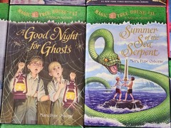 14 MAGIC TREE HOUSE chapter Books Dragon Ghosts Magicians Osborne HARDCOVERS C8