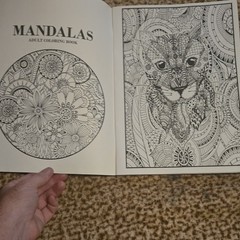 Mandalas Adult Coloring Book Paperback Illustrated Adults English
