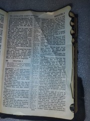 Vintage Holy Bible KJV w/ Ideal Helps National Bible Press Black Leather Tabs
