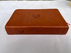 Daily Feast : Meditations from Feasting on the Word (Years A, B and C together)