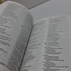 Holy Bible Gift & Award Edition New TYNDALE Living Translation READ