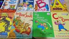 Lot of 10 The Berenstain Bears Beginner Bright and Early Books „Random Mix”