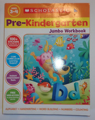 Lot 2 Workbooks Ages 3-4 Scholastic Pre-Kindergarten & Big Skills Early Concepts