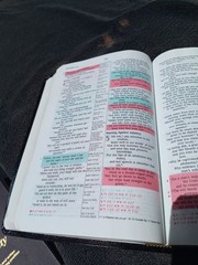 1998 NIV Prophecy Marked Reference Study Bible Bonded Leather Great Resource!