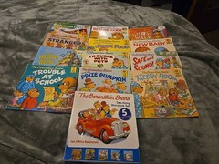 The Berenstain Bears 17 Book Lot Total Huge Lot Bundle