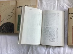 3 Japanese Books Relating To Basho’s Travels