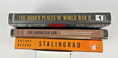 World War II History * Stalingrad * The Forgotten 500 * Hidden Places Lot of 3