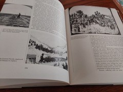 Dee Brown THE WESTENERS 1974 Illustrated HARDCOVER 288 Pages