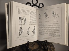Susan E. Harris Horse Gaits, Balance and Movement (1993)