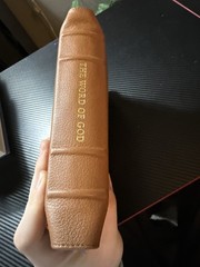 The Word of God Brown Leather Bound Illustrated Hardcover Bible