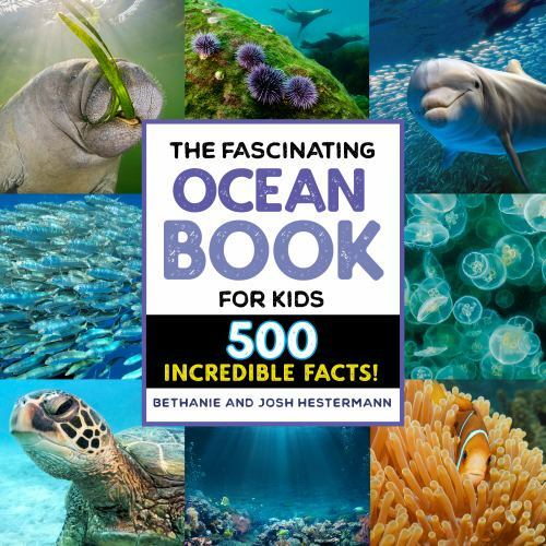 The fascination ocean book for kids five incredible facts