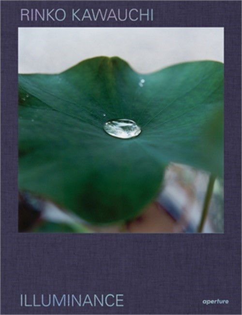 Rinko Kawauchi: Illuminance: The Tenth Anniversary Edition (Hardback or Cased Bo