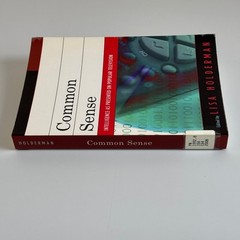 Common Sense Intelligence on TV Lisa Holderman 2008 Nonfiction Lexington Books