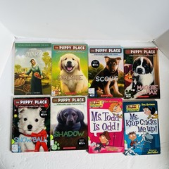 Lot of 10 Chapter Books Mixed Lot 2nd 3rd Grade Fiction Classroom Library Set