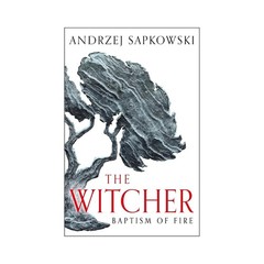 The Witcher 9 Books Collection Set: The Last Wish, Sword of Destiny, Blood