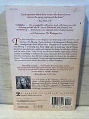 The Pleasing Hour by Lily King