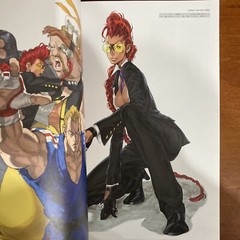 Street Fighter Artworks Kyoku Art Book Illustration