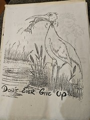 24 Old Jokes 1940s-1980s Dads Collection