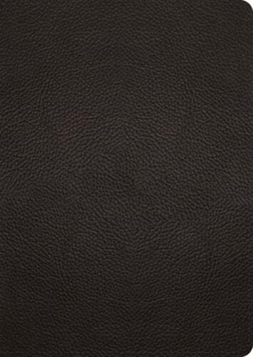 ESV Study Bible, Large Print (Buffalo Leather, Deep Brown): New