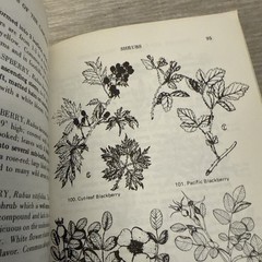 Lot 4 Books Wildflowers & Plants By Different Authors