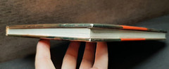 Susan Crain Bakos book The Orgasm Bible 2008