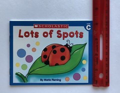 Learn to Read Lot 20 Children’s Little Leveled Readers Phonics Reading Books NEW