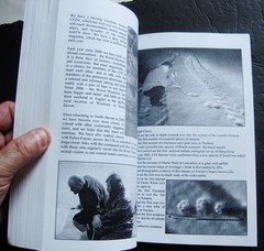WHEN BIGFOOT ATTACKS, Michael Newton, paperback, 2000, rare, CFZ Press
