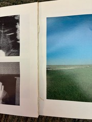 David BYRNE/True Stories/Autographed/Photography/1986/Pbk/Free Shipping