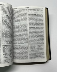 The New American Bible /Bible Catholic Word Press ~