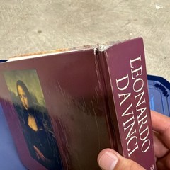Leonardo Da Vinci by D. M. Field Multicolor Illustrated Hardcover Book