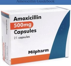 THE AMOXICILLIN EXPLAINED NOTEBOOK: Fast Solutions for Bacterial Infection Recov